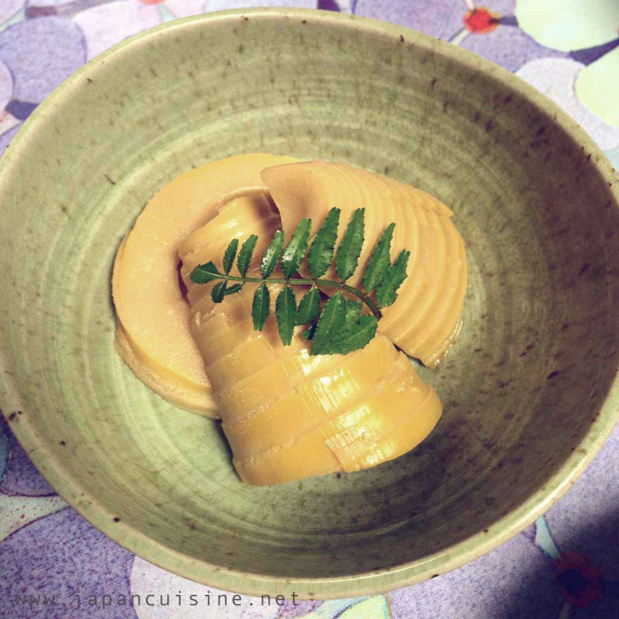 Visited Bamboo shoot (Takenoko) village (Food)